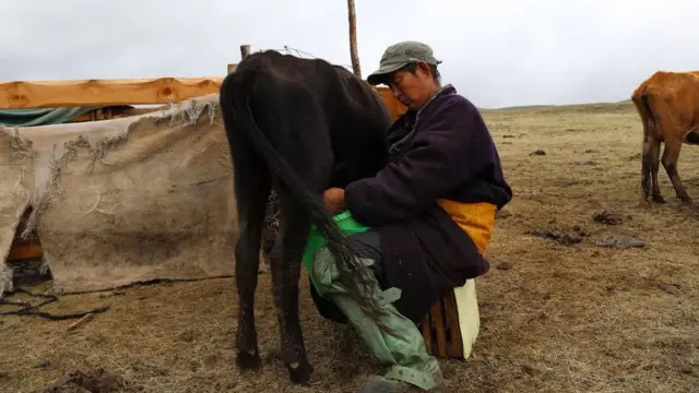 Бул жердегилер мал кармашып, жылкы багат. Бардык эле көчмөн элдери сыяктуу эле кымыз, айран, сүт жасашат.