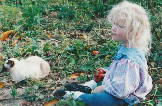 టేలర్ హర్విట్జ్