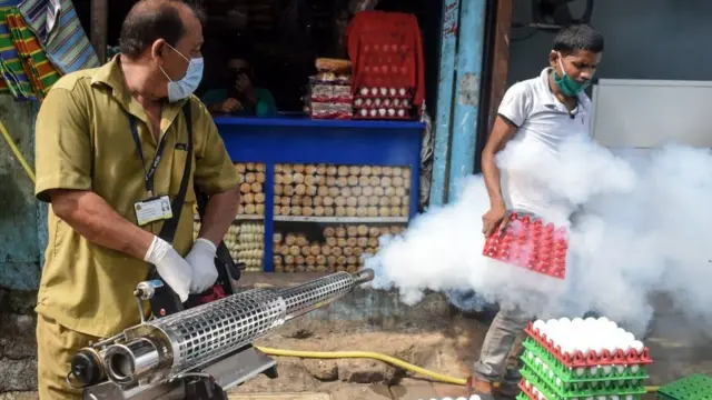 डेंग्यूः चमत्कार, एका बॅक्टेरियामुळे डेंग्यू नष्ट होणार?