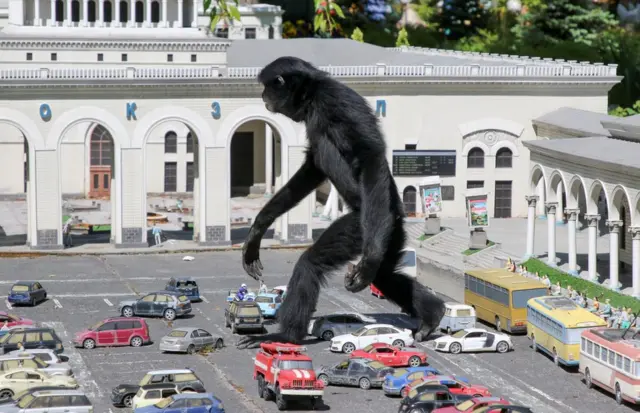 lutung, monyet