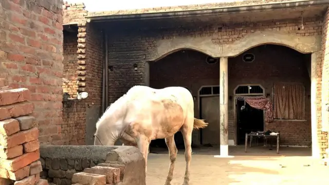 કાંધલામાં વસતી હમઝા કોલોની