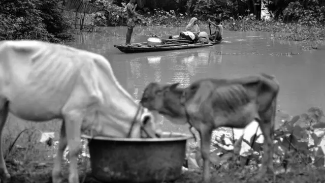 असम, बाढ़