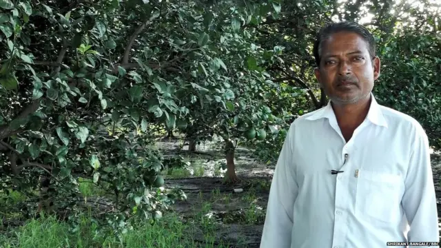 शेतकरी हरिभाऊ बडोघे