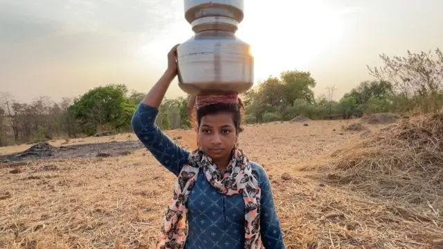 जालना आमले