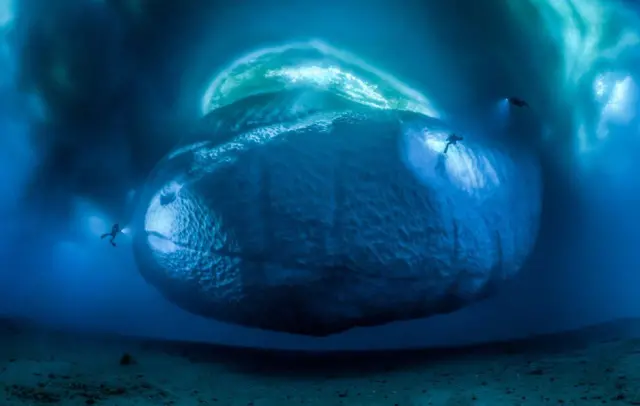 Iceberg (Crédito: LAURENT BALLESTA/WPY)