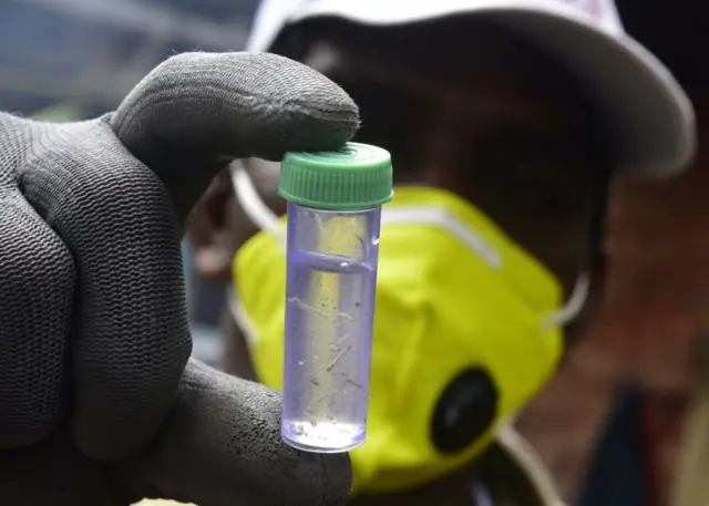 ચિકનગુનિયા