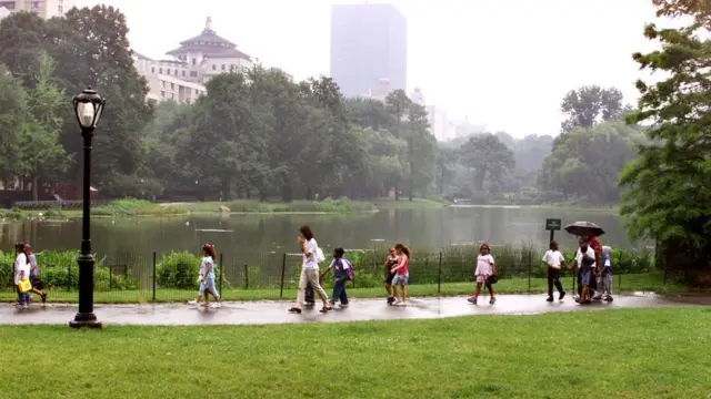 Parklar ve şehirler