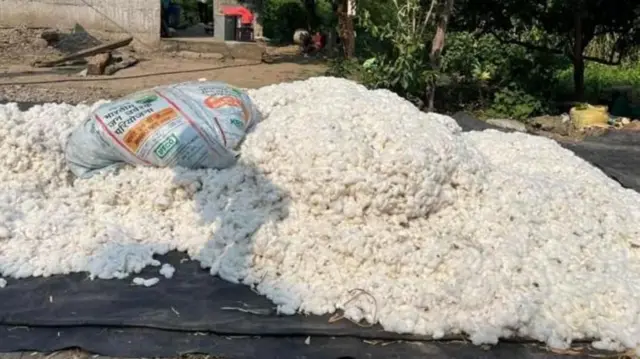 કપાસના ભાવો, કોટન કોર્પોરેશન ઓફ ઇન્ડિયા, મહારાષ્ટ્ર અને ગુજરાતમાં કપાસ ટેકાના ભાવો અને ભાવફેર, અમેરિકા, 31 ડિસેમ્બર સુધી કપાસની આયાત ઉપર 11 ટકા જકાત નહીં, બીબીસી ગુજરાતી 