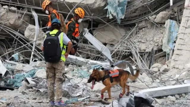 Abakora ubutabazi i Bangkok barimo gukoresha imbwa zihunahuna mu gushakisha abarokotse
