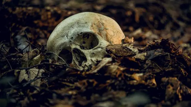 செப்டிக் டேங்கை சுத்தம் செய்யும் போது 8 மாதத்திற்கு பிறகு மாடசாமியின் எலும்புக்கூடு கிடைத்தது 