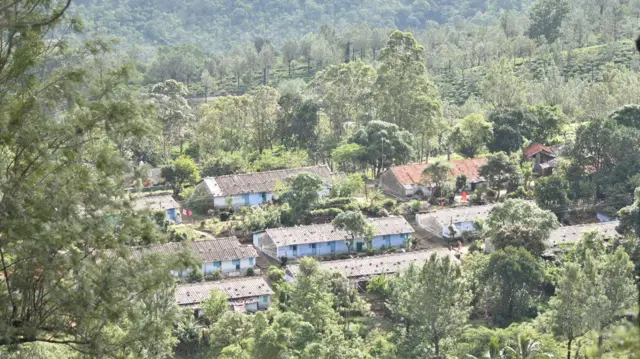 மாஞ்சோலை எஸ்டேட் - இன்றைய நிலை