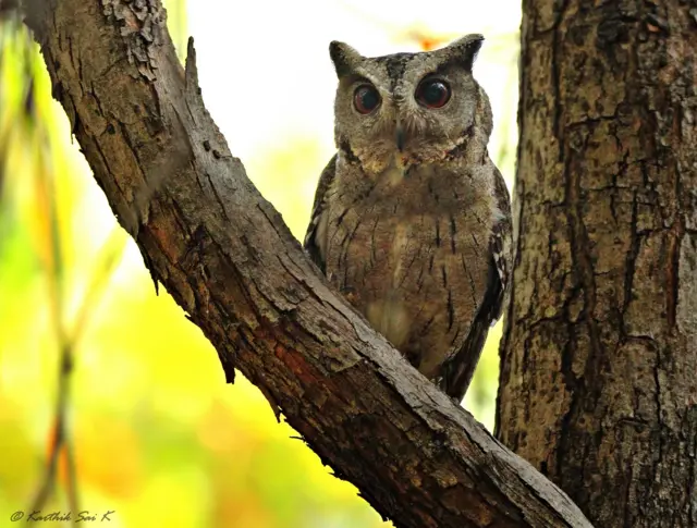 వరల్డ్ ఫొటోగ్రఫీ డే 