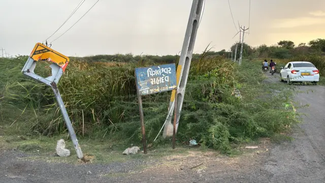 ગીર, અમરેલી, સિંહ, બીબીસી ગુજરાતી, ગીર અભયારણ્ય