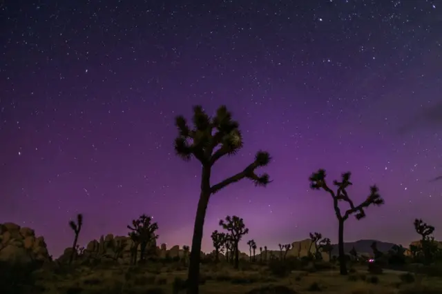 ABD'nin California eyaletindeki Joshua Tree Ulusal Parkı'nda meteor yağmuru kuzey ışıklarıyla birleşti
