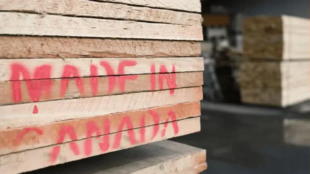 कनाडा के पास काफी प्राकृतिक संसाधन हैं जिन पर अमेरिका की नज़र है