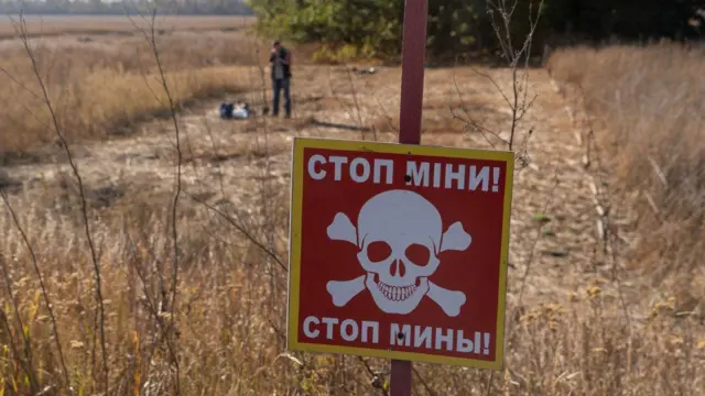 знак із попередженнями про міни на золотовому полі, позаду стоїть людина і видно зелене дерево