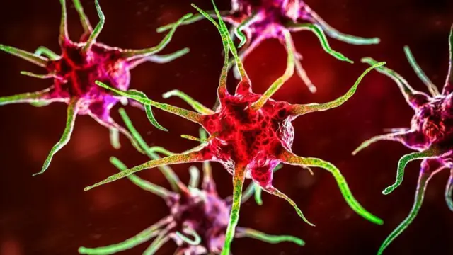 வயிற்றில் இருக்கும் பாக்டீரியா