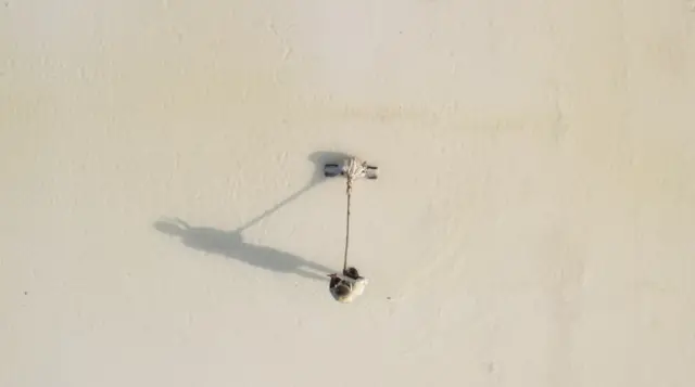 नमक की खेती करते मज़दूर