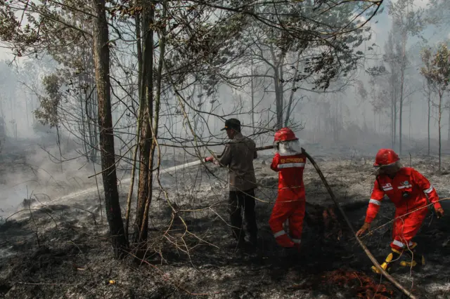 Anggota Polri dan petugas Manggala Agni berupaya memadamkan kebakaran lahan gambut di Kelurahan Kalampangan, Palangka Raya, Kalimantan Tengah, Minggu (4/8/2024). 