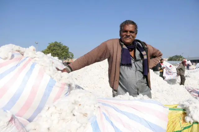 કપાસના ખેડૂતો, કપાસનું ઉત્પાદન, કપાસના ભાવ, આંતરરાષ્ટ્રીય બજાર, કપાસની ગાંસડી, કપાસનો ભાવ કેવી રીતે નક્કી થાય, કપાસમાં કેન્ડી એટલે શું, કપાસના ટેકાના ભાવ, બીબીસી ગુજરાતી, બીબીસી ન્યૂઝ ગુજરાતી 