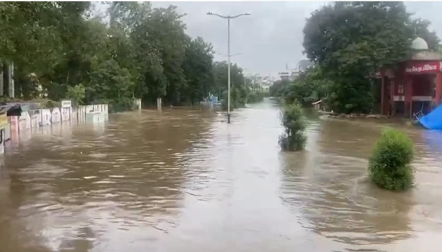 વિશ્વવામિત્રી નદીનું પાણી સયાજીગંજ, સમા, અકોટા, મુજમહુડા, વડસર, કલાલી, કારેલીબાગ, હરણી, જેતપુર અને પ્રતાપગંજ સુધી પહોંચી ગયા હતા