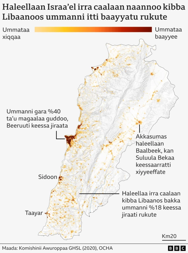 Naannawa Israa'el Libaanos haleelle