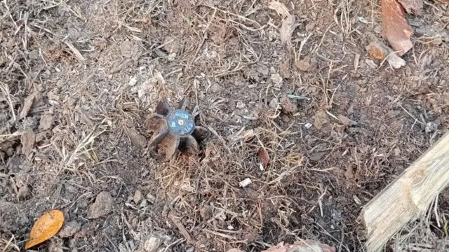 ပြီးခဲ့တဲ့ရက်ပိုင်းအတွင်း စစ်ကောင်စီတပ်ရဲ့ ဘောကထာ စခန်းကနေ ပစ်ခတ်လို့ အရပ်သားနေအိမ်အချို့ လက်နက်ထိမှန် ပျက်စီးခဲ့တယ်လို့ KNU ‌ဘက်က ပြောပါတယ်