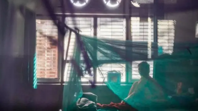 झुलभित्र बसेका डेङ्गीका बिरामी