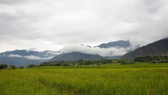 హిమాలయాల్లోని పంటలు
