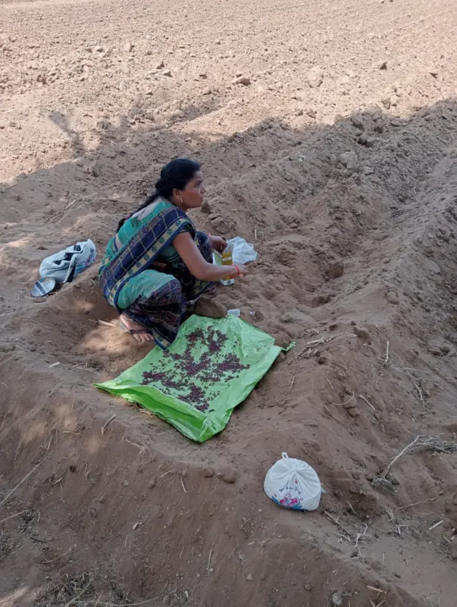 ગુજરાતી મહિલા ખેડૂત