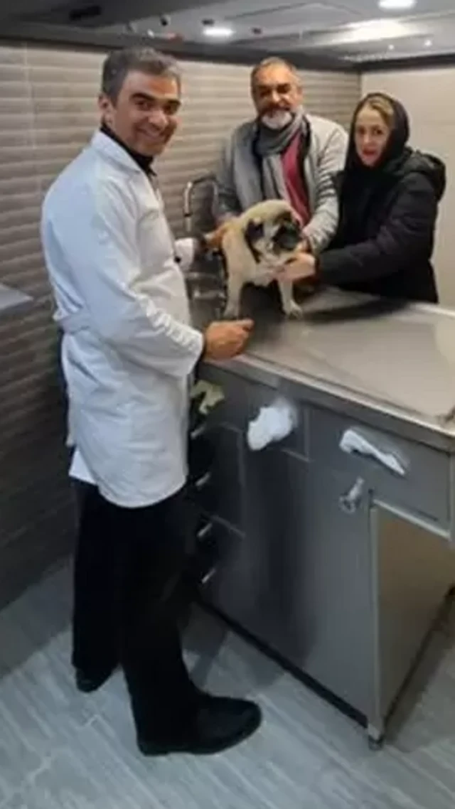 Пайама Мохеби