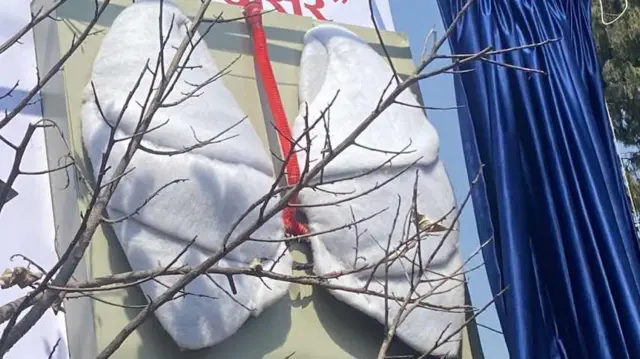 पहिलो दिन कृत्रिम फोक्सो यस्तो सफा थियो