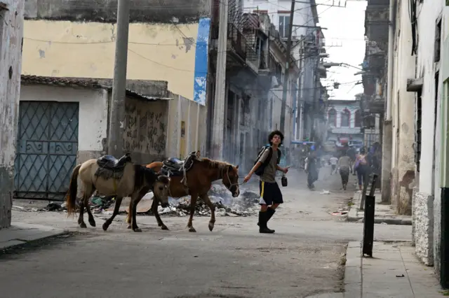 Un joven camina dos mulas por las calles de La Habana