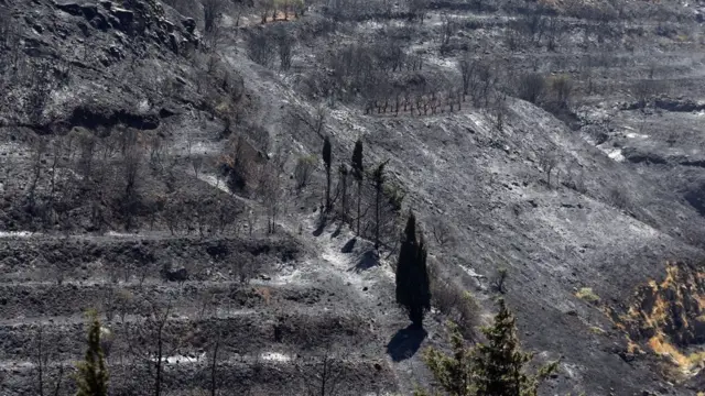 آتش سوزی در سوریه