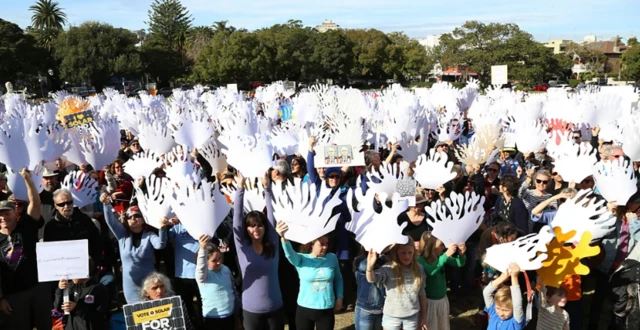 صور تظهر أشخاصا يشاركون في وقفة صديقة للبيئة.