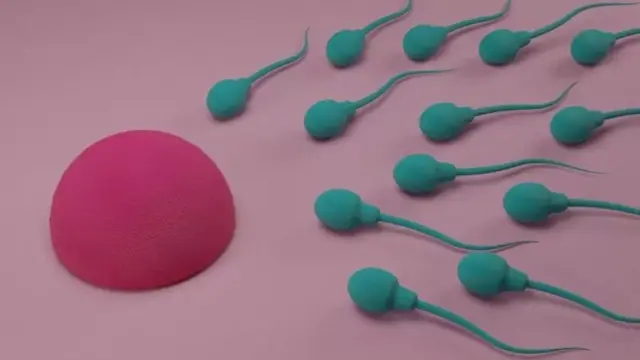 Dhalmo la'aanta ragga