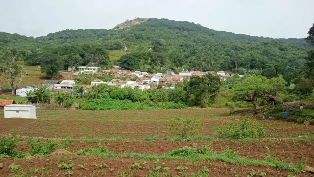 மலையாளி, பழங்குடியினர் அந்தஸ்த்து, தமிழ்நாடு அரசு, பட்டியல் பழங்குடியினர்