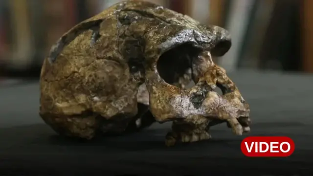 మనిషి పుర్రె, పురావస్తు శాస్త్రవేత్తలు, ఆర్కియాలజీ, చైనా