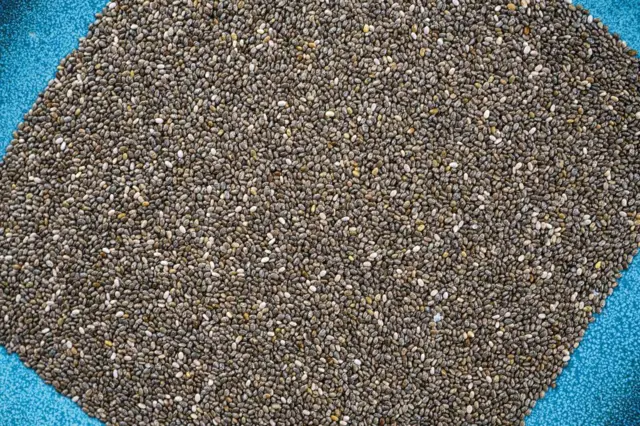 Chia