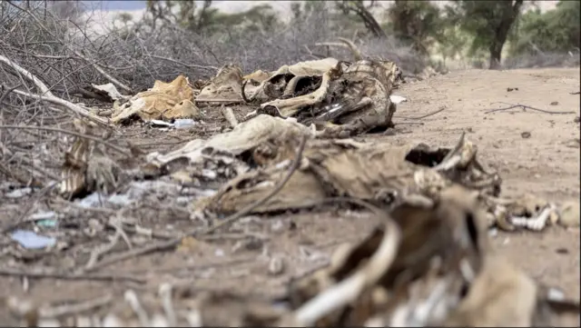 Qabeenni isaani ila isaani duratti dhumuun garaa jabeesse