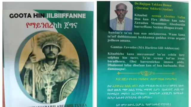 Kitaaba seenaa Fitaawuraarii Abeebee Tufaa