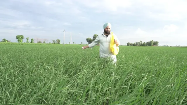 ਖੇਤ ਵਿੱਚ ਖਾਦ ਪਾਉਂਦਾ ਕਿਸਾਨ 