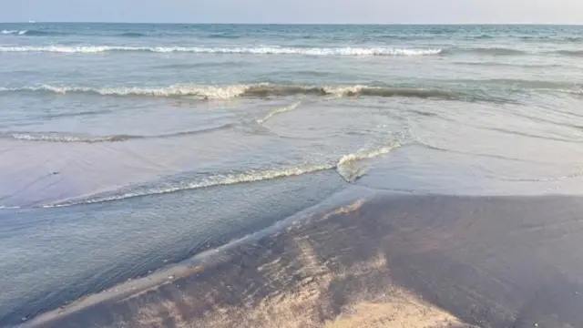 દરિયાકિનારો, વિજ્ઞાન, સમુદ્ર, રંગ, તરંગો, ગંદુ પાણી, બીબીસી ગુજરાતી