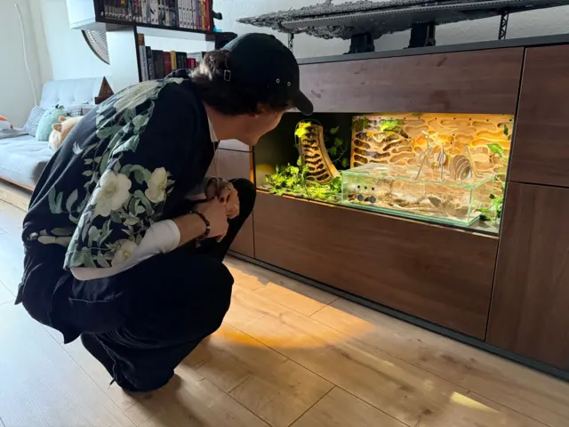 Noina kolonija mrava