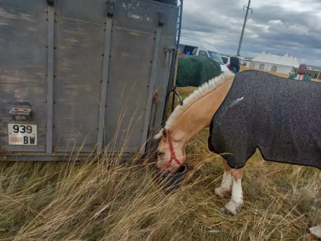 Ат чалдыруу учуру