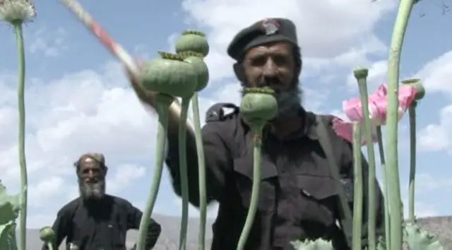 پوست، بلوچستان