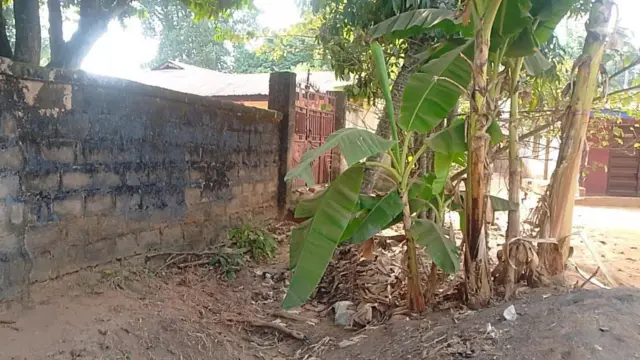 Ebe ụmụaka atọ nwụrụ n'ime ụgbọala