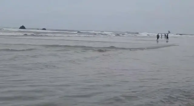 கொம்மு கோனாம் மீன், ஆந்திரா, மீனவரை இழுத்துச் சென்ற கொம்மு கோனாம் 