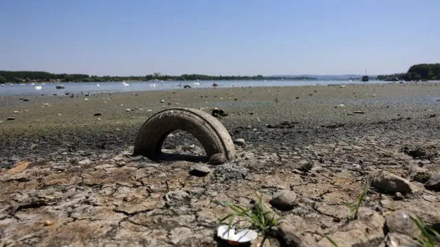 dunav, nizak nivo dunava, vodostaj dunava, dunav u beogradu