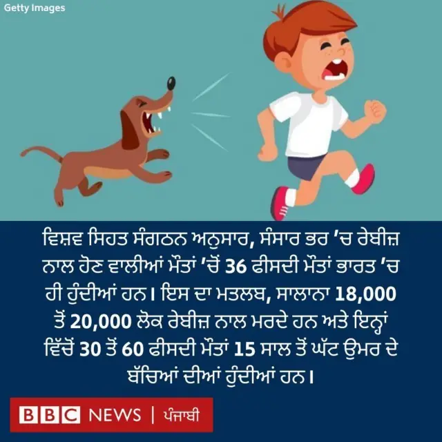 ਅਵਾਰਾ ਕੁੱਤੇ
